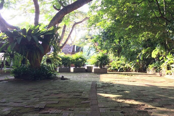 Imagen de los exteriores del Hotel Fern House Retreat. Foto 32