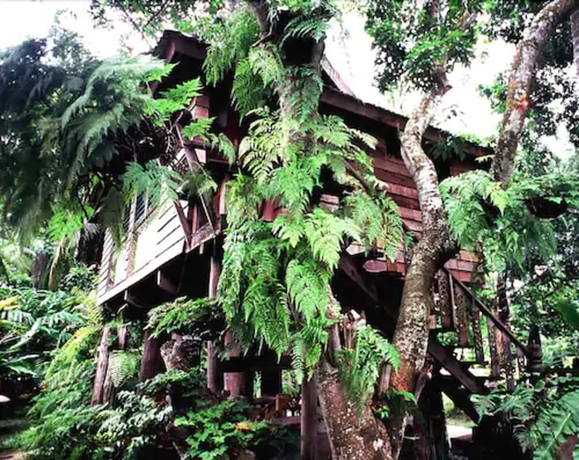 Imagen de la habitación del Hotel Fern Paradise. Foto 15