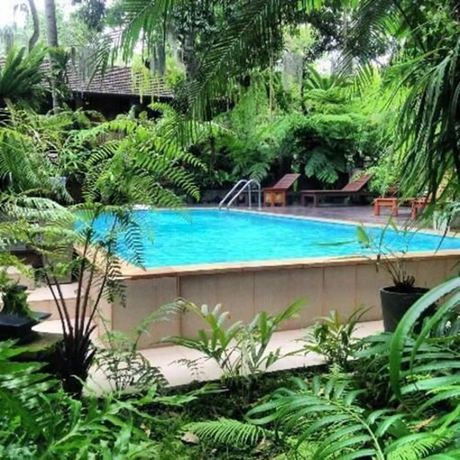 Imagen de la piscina del Hotel Fern Paradise. Foto 19