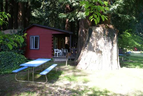 Imagen de la habitación del Hotel Fern River Resort. Foto 4
