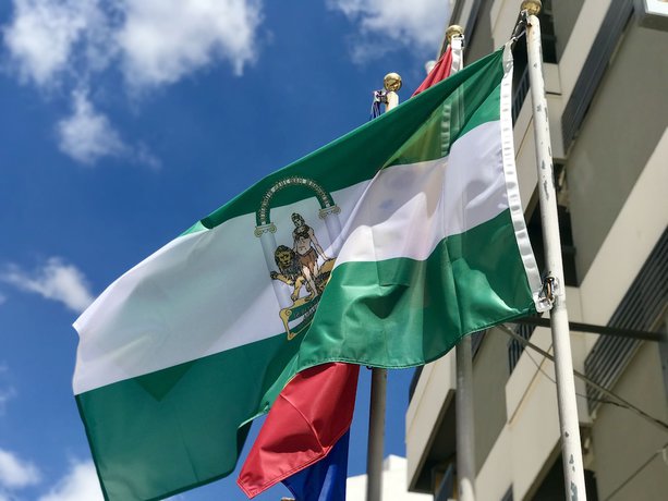 Imagen general del Hotel Fernando IV. Foto 3