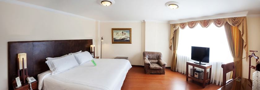 Imagen de la habitación del Hotel Fernando Plaza. Foto 10