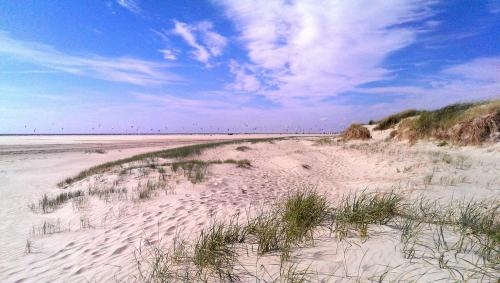 Imagen general del Hotel Fernsicht. Foto 6