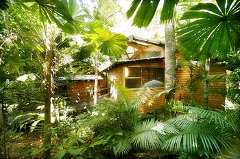 Imagen de los interiores del Hotel Ferntree Rainforest Lodge. Foto 16