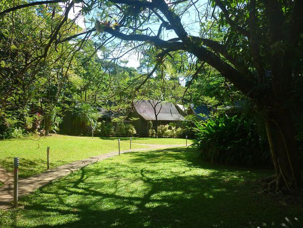Imagen de los exteriores del Hotel Ferntree Rainforest Lodge. Foto 10