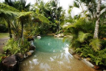Imagen de la habitación del Hotel Ferntree Rainforest Lodge. Foto 5