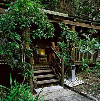 Imagen general del Hotel Ferntree Rainforest Lodge. Foto 1