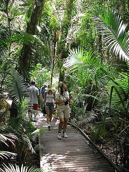 Imagen de los exteriores del Hotel Ferntree Rainforest Lodge. Foto 15