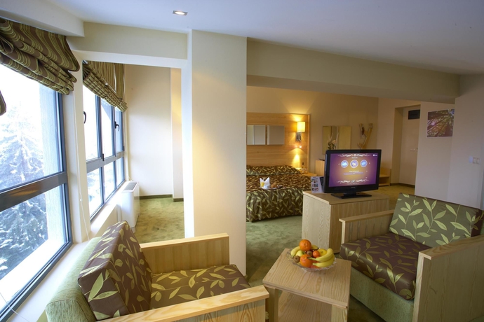 Imagen de los interiores del Hotel Festa Chamkoria. Foto 7