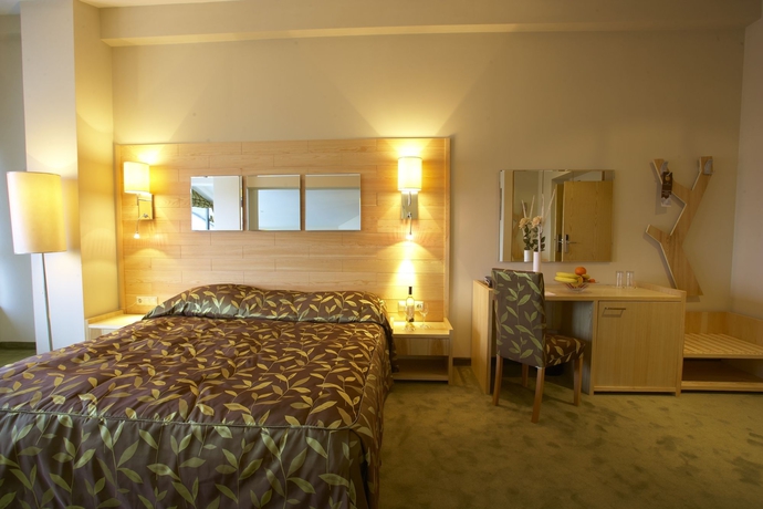 Imagen de los interiores del Hotel Festa Chamkoria. Foto 10