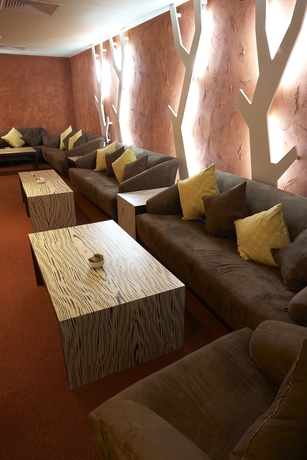 Imagen de los interiores del Hotel Festa Chamkoria. Foto 14