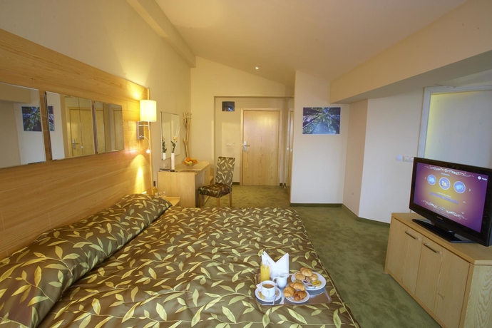 Imagen de la habitación del Hotel Festa Chamkoria. Foto 5