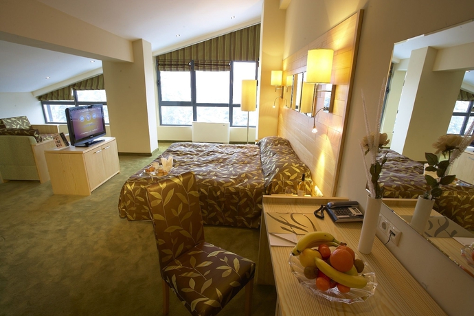 Imagen de la habitación del Hotel Festa Chamkoria. Foto 6