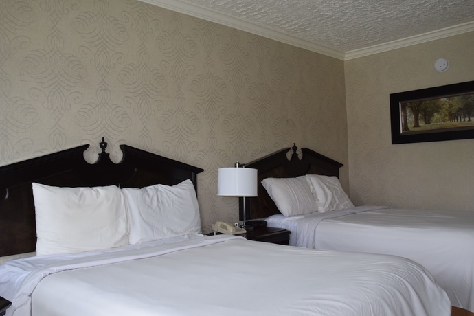 Imagen de la habitación del Hotel Festival Courtyard Inn. Foto 5