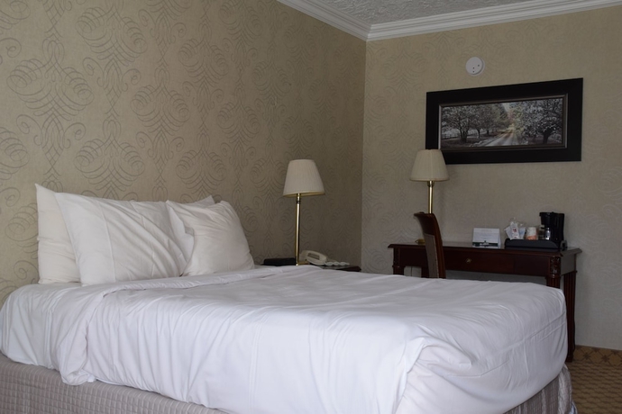 Imagen de la habitación del Hotel Festival Courtyard Inn. Foto 7