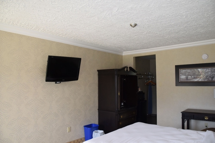 Imagen de la habitación del Hotel Festival Courtyard Inn. Foto 10