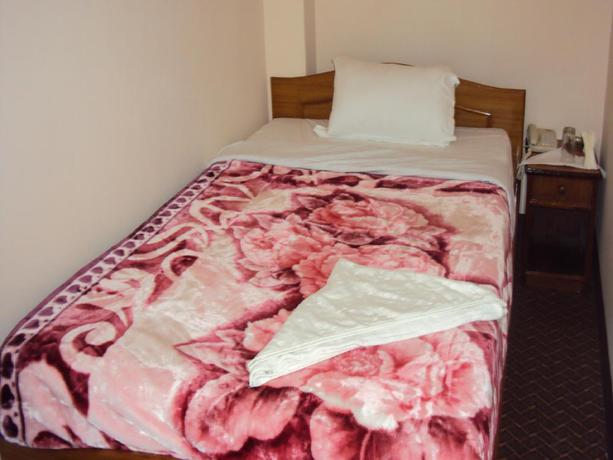 Imagen de la habitación del Hotel Festoon. Foto 4