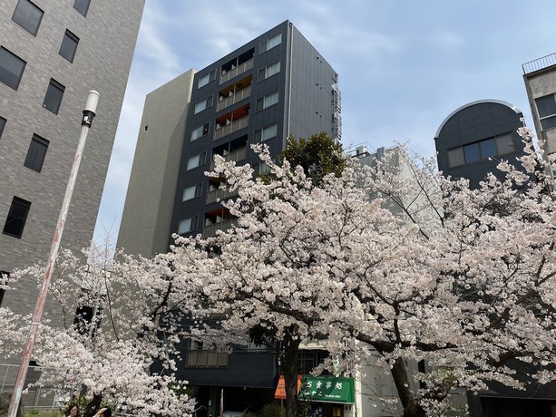 Imagen general del Hotel Ffosaka.com. Foto 1