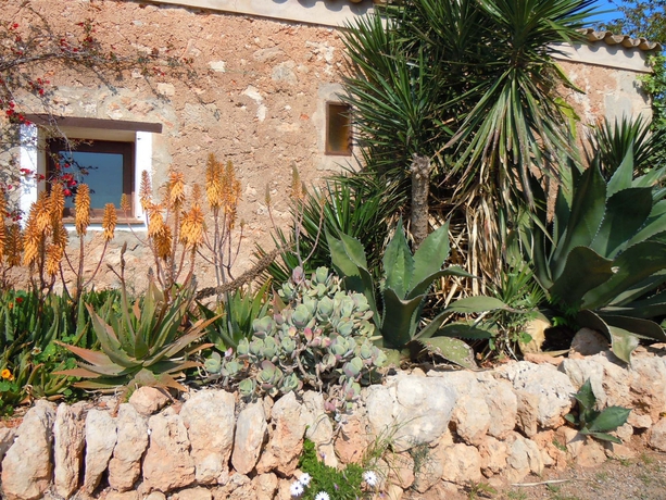 Imagen de los exteriores del Hotel F&iacute;nca L&iacute;bertad. Foto 12