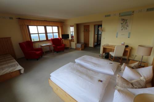 Imagen de la habitación del Hotel Fichtelberghaus. Foto 7