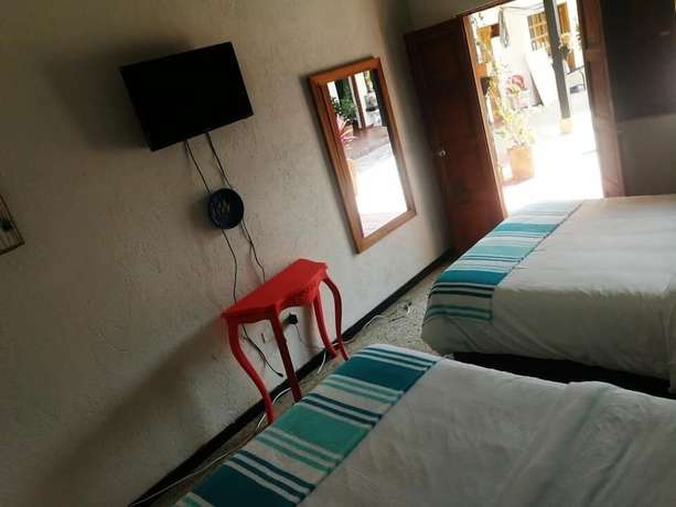 Imagen de la habitación del Hotel Ficus Boutique. Foto 7