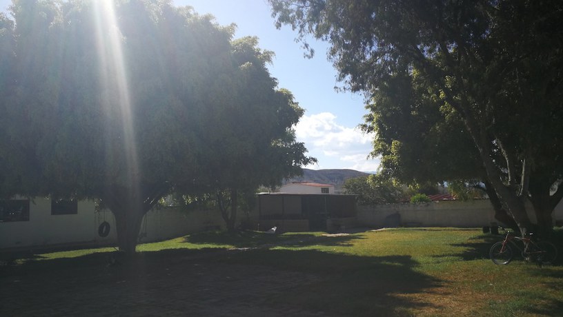 Imagen de los exteriores del Hotel Ficus Boutique. Foto 11