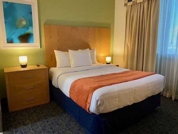 Imagen de la habitación del Hotel Ficus. Foto 6