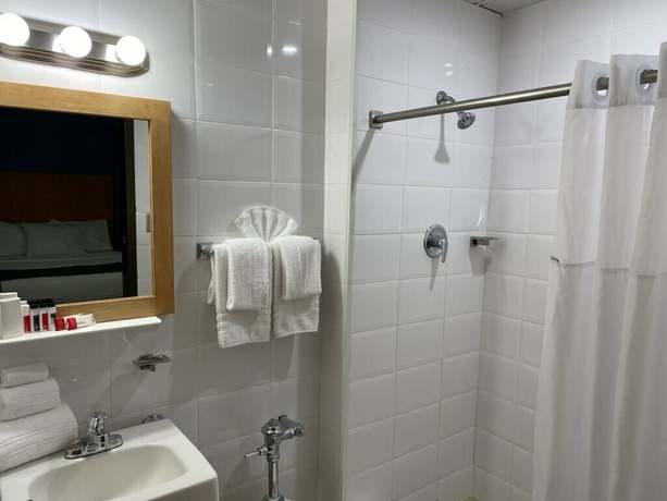 Imagen de la habitación del Hotel Ficus. Foto 7