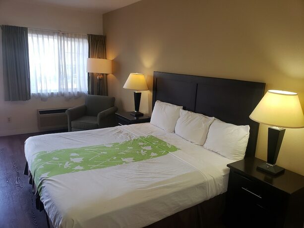 Imagen general del Hotel Fidalgo Country Inn. Foto 5