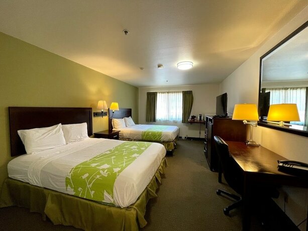 Imagen de la habitación del Hotel Fidalgo Country Inn. Foto 12