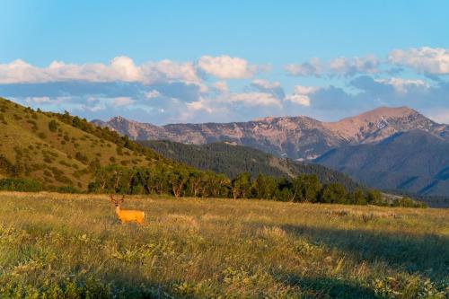 Imagen general del Hotel Field & Stream Lodge- Bozeman. Foto 8
