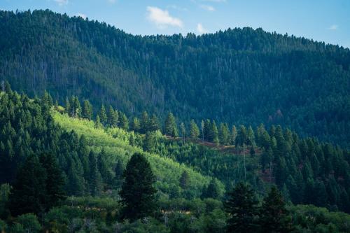 Imagen general del Hotel Field & Stream Lodge- Bozeman. Foto 10