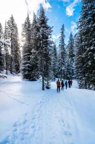 Imagen general del Hotel Field & Stream Lodge- Bozeman. Foto 12