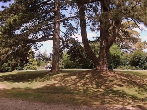 Imagen general del Hotel Fieldways. Foto 6