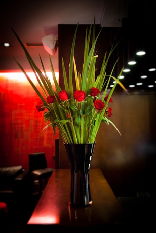 Imagen de los interiores del Hotel Fierro Buenos Aires. Foto 13