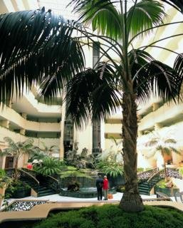 Imagen general del Hotel Fiesta Americana Leon. Foto 6