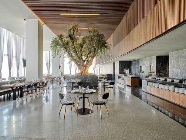 Imagen del bar/restaurante del Hotel Fiesta Americana San Luis Potosi. Foto 5