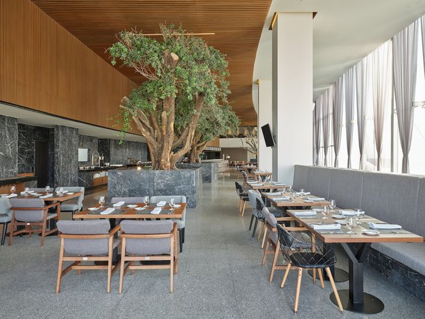 Imagen del bar/restaurante del Hotel Fiesta Americana San Luis Potosi. Foto 6