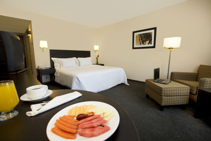 Imagen de la habitación del Hotel Fiesta Inn Reynosa. Foto 8