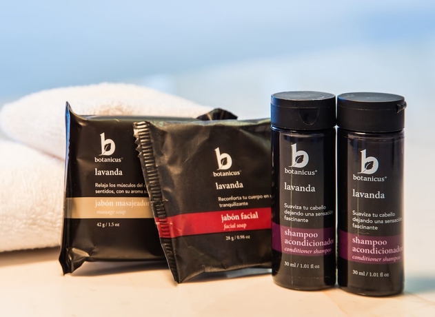 Imagen de la habitación del Hotel Fiesta Inn Saltillo. Foto 7