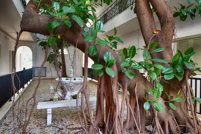 Imagen de los interiores del Hotel Filorian Apartments. Foto 10