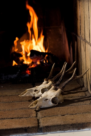 Imagen de los interiores del Hotel Filskov Kro. Foto 16