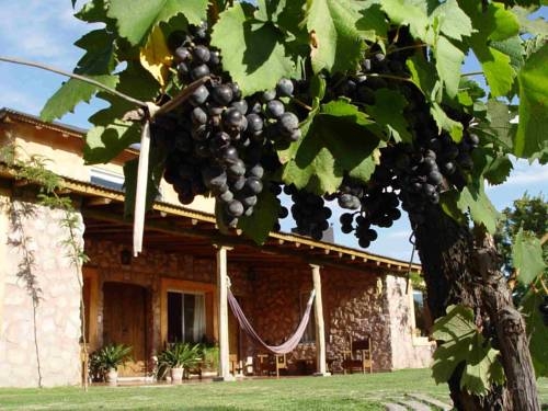 Imagen general del Hotel Finca Adalgisa Wine. Foto 4