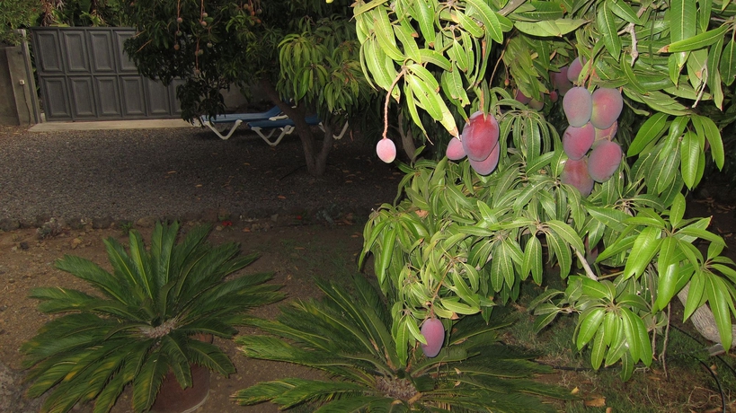 Imagen de los exteriores del Hotel Finca El Gallo. Foto 13