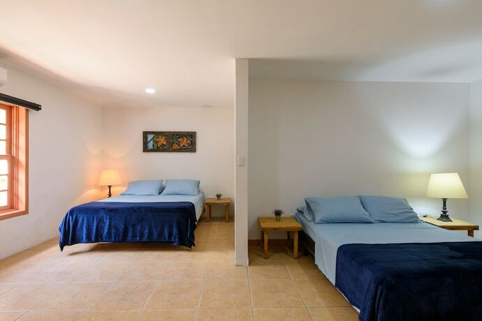 Imagen de la habitación del Hotel Finca Guadalupe. Foto 15