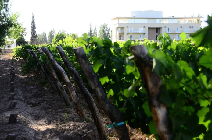 Imagen general del Hotel Finca Hermitage. Foto 5