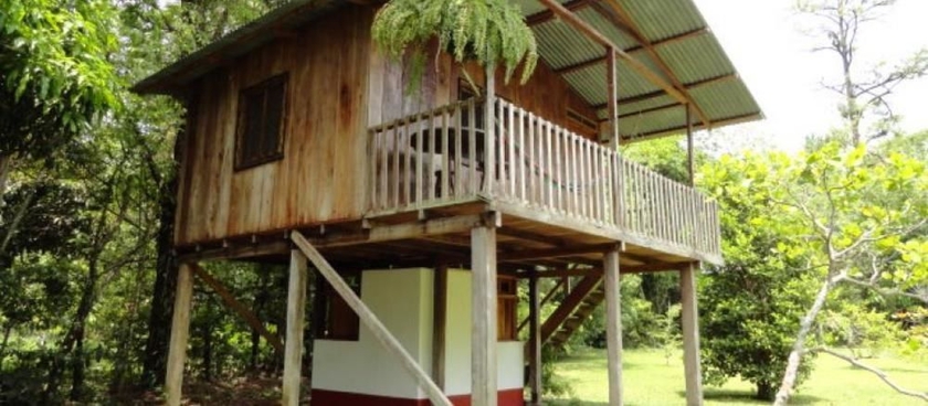 Imagen de los exteriores del Hotel Finca Ixobel Ecologico. Foto 12