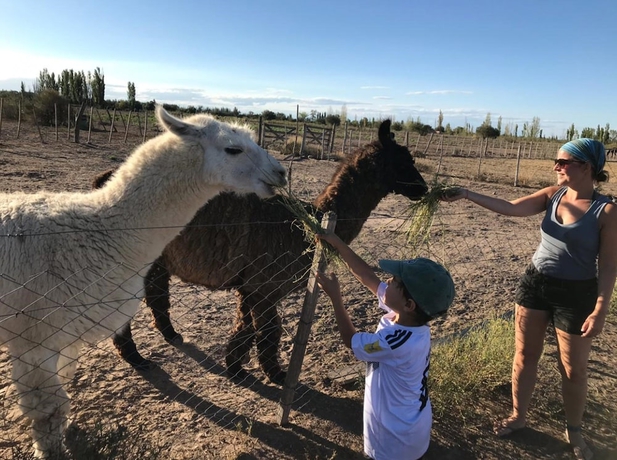 Imagen general del Hotel Finca La Carmelita. Foto 2