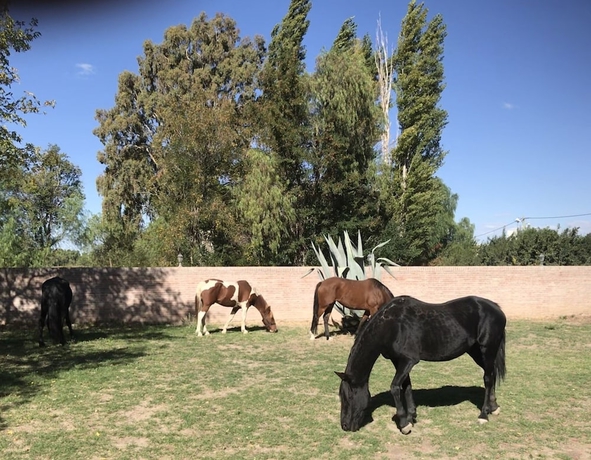 Imagen de los exteriores del Hotel Finca La Carmelita. Foto 14