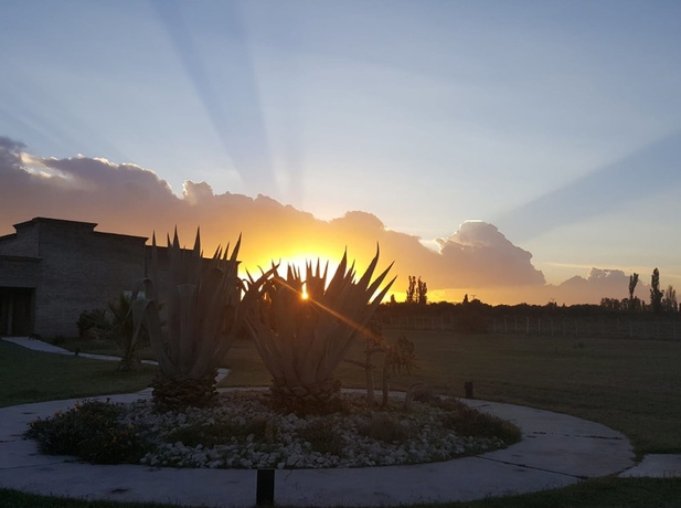 Imagen de la habitación del Hotel Finca La Carmelita. Foto 11